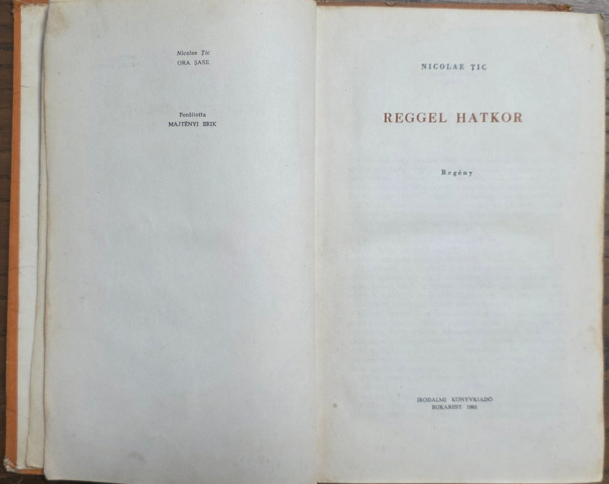 Nicolae Țic – Reggel hatkor